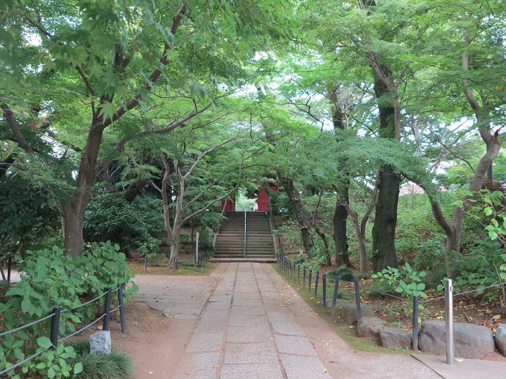 本土寺011.JPG