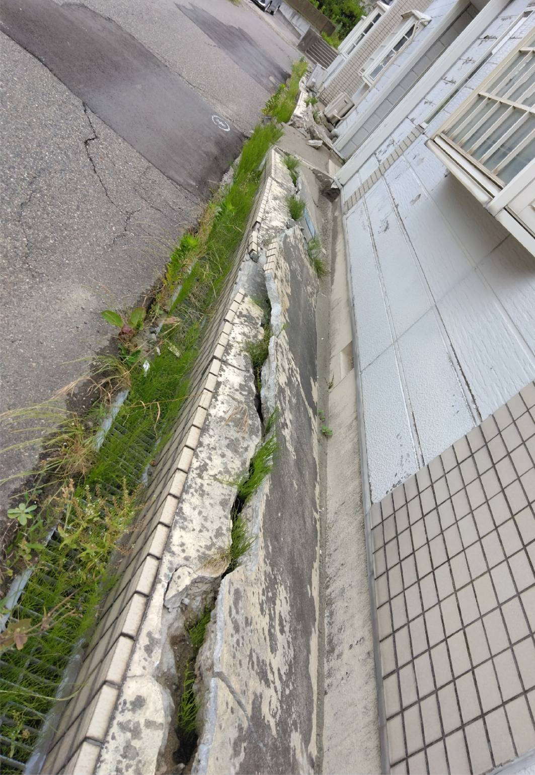 小針ふじみ.jpg