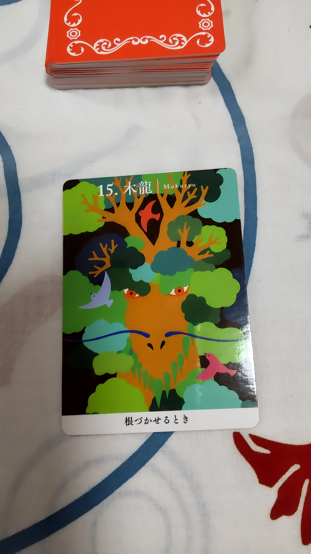 050204.jpg