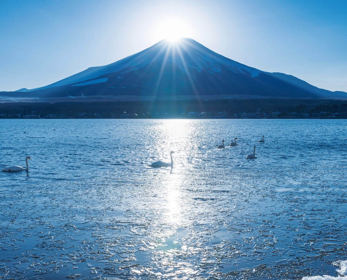 1440x1280_01 (1).jpg