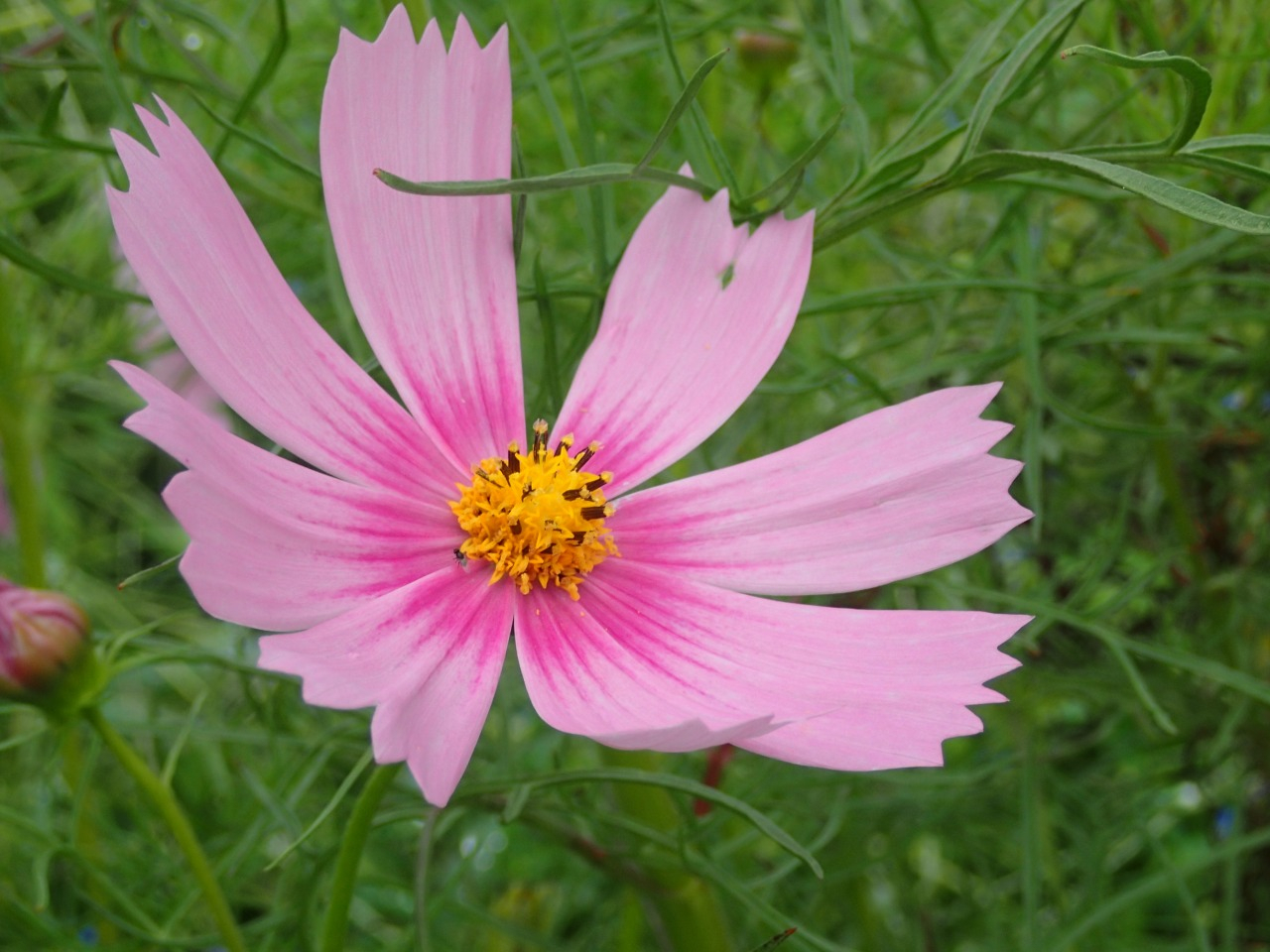 P9200010.JPG