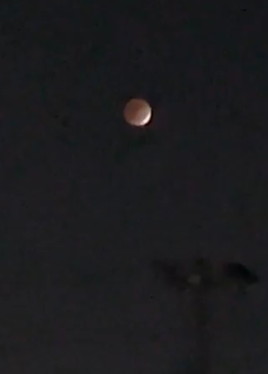 IMG-4916.jpg