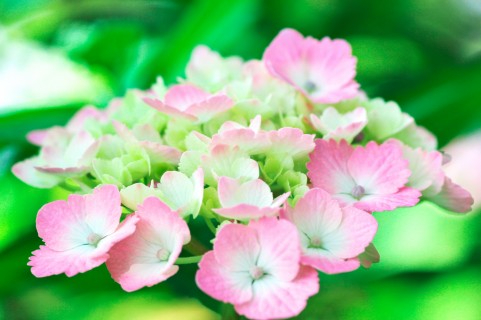 タロット 占い 浦和 埼玉 霊感 霊視 潜在意識 前世鑑定 ヒーリング 　尾本広美 ロータスロータス  当たる占い 埼玉 スピリチュアル (311).jpg