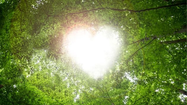 【今日のカード】リール　縦長 (630 x 354 px).jpg