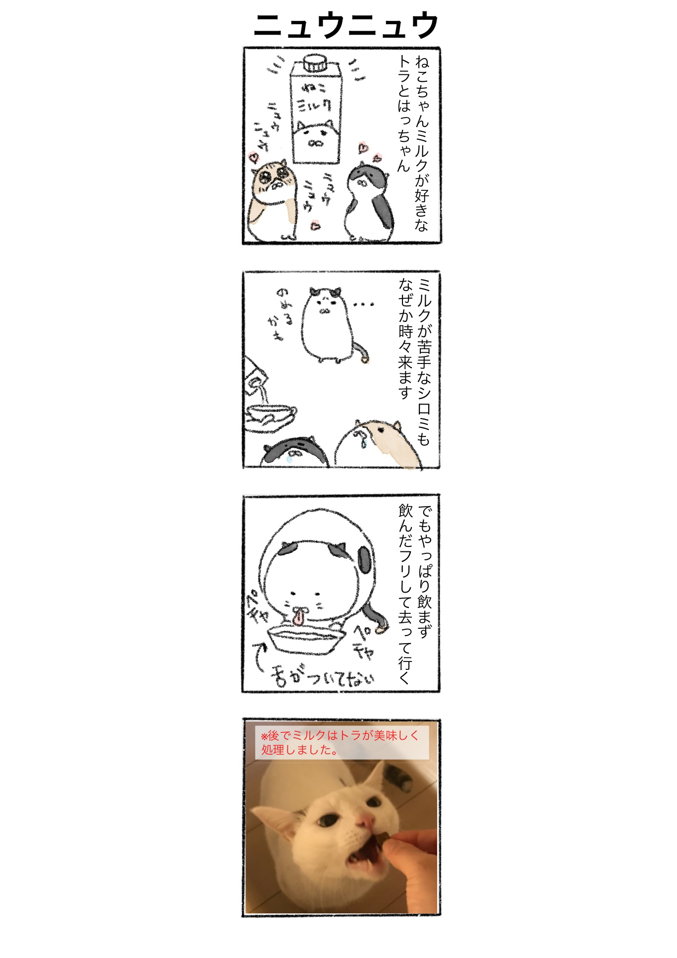 5267AE3F-799E-4635-B291-B8D54E88D0AF.jpeg