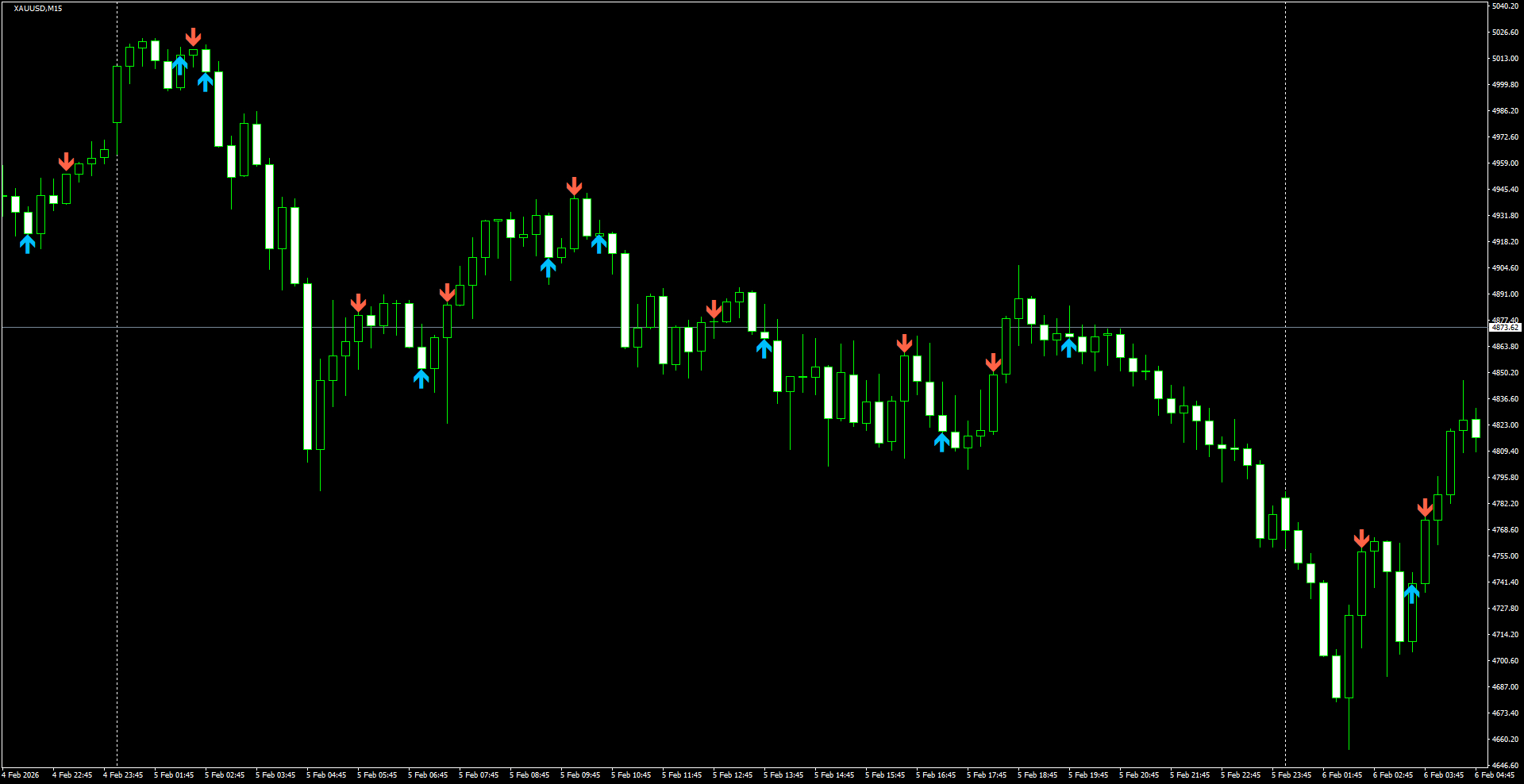 XAUUSD(M15)_2026.02.06_200802.png