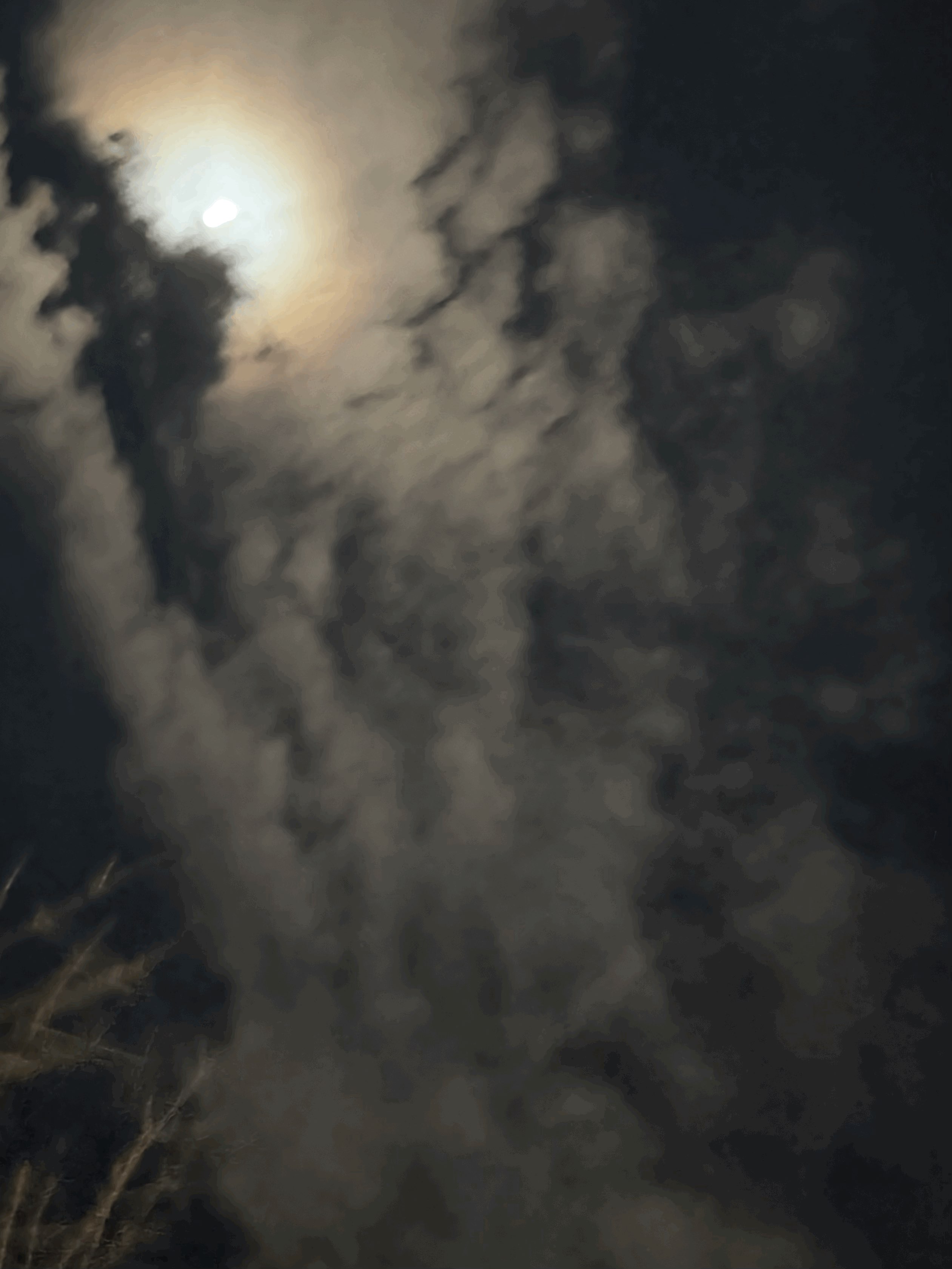 tempImagem8LRJo.gif