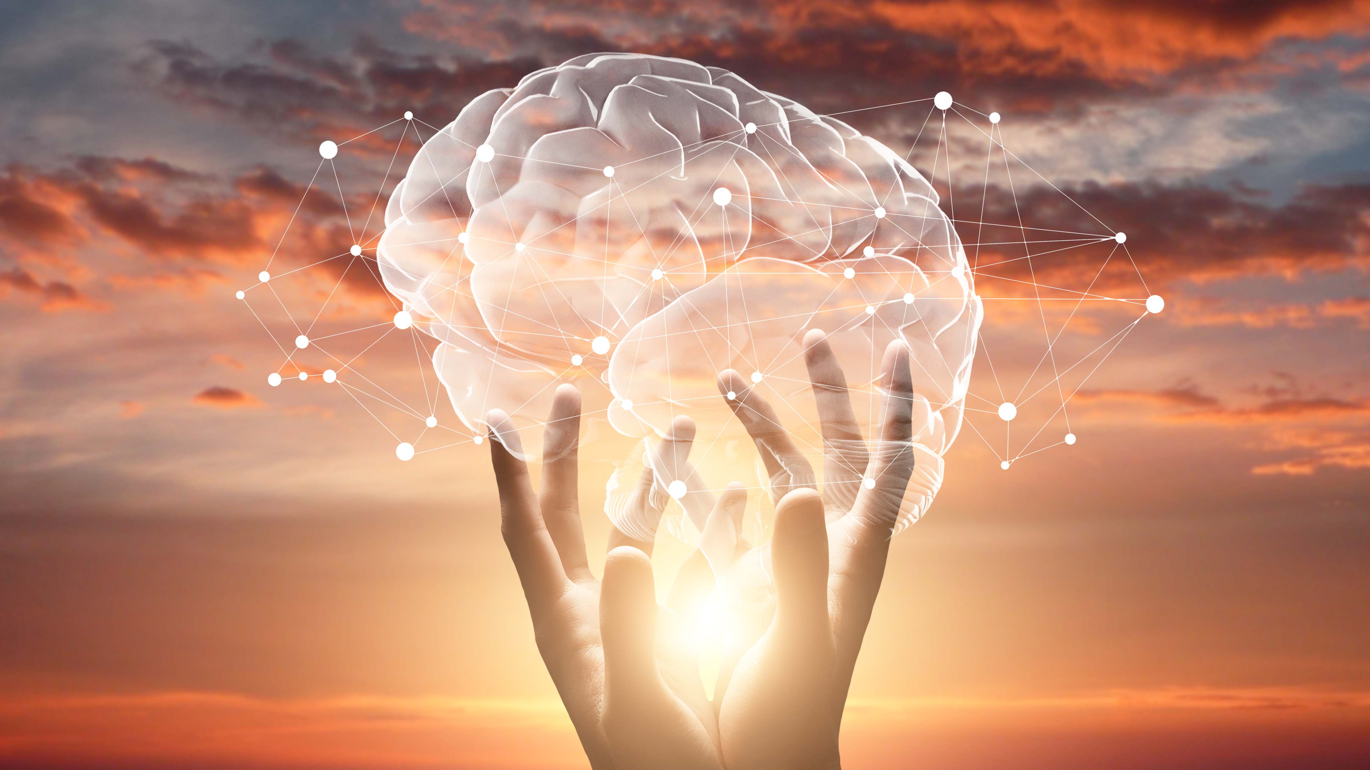 brain5.jpeg