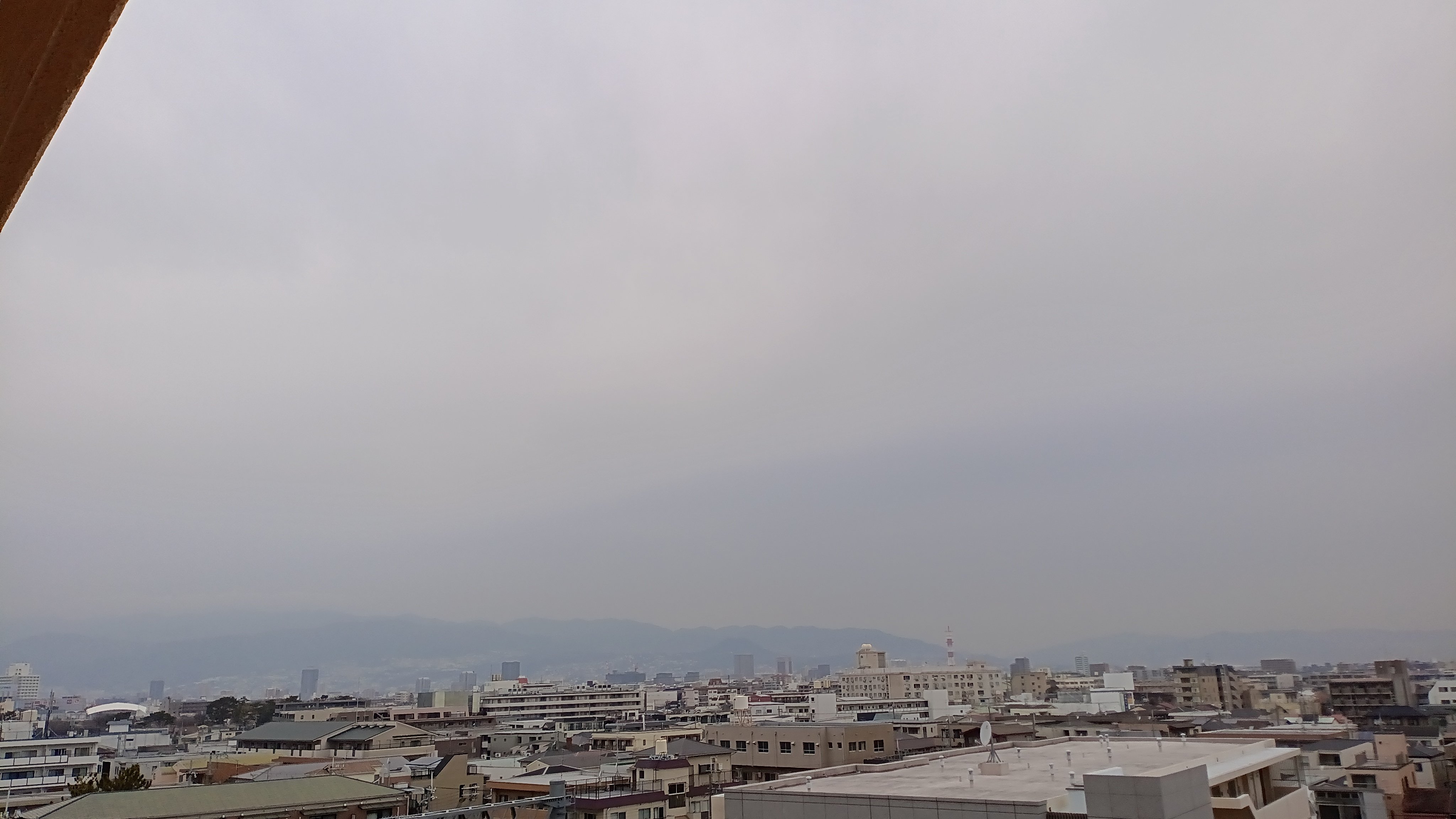 IMG_20250228_073450_716.jpg