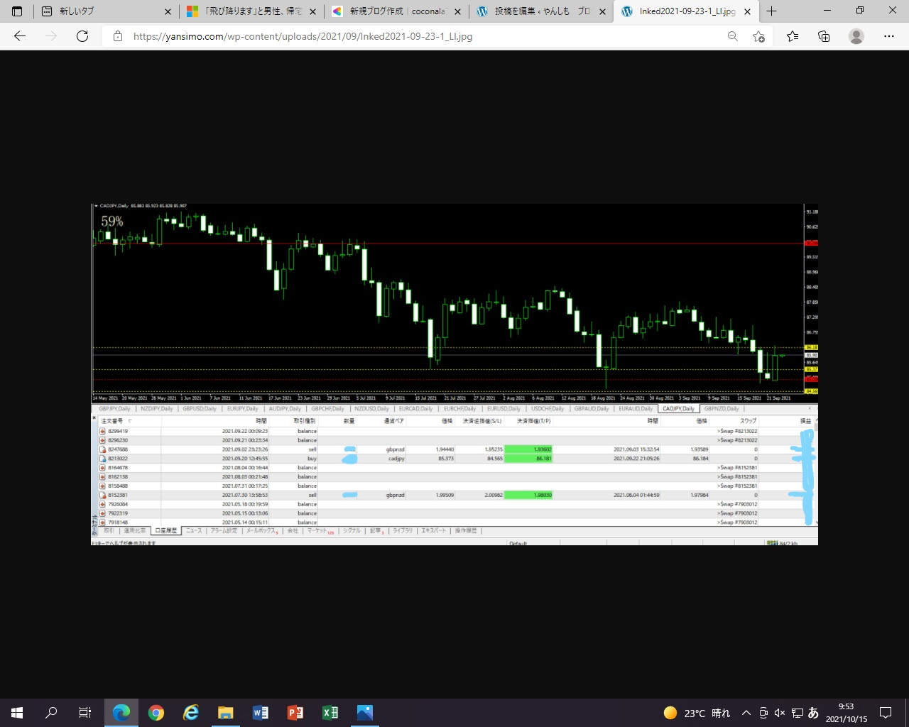 スクリーンショット (51)_LI.jpg