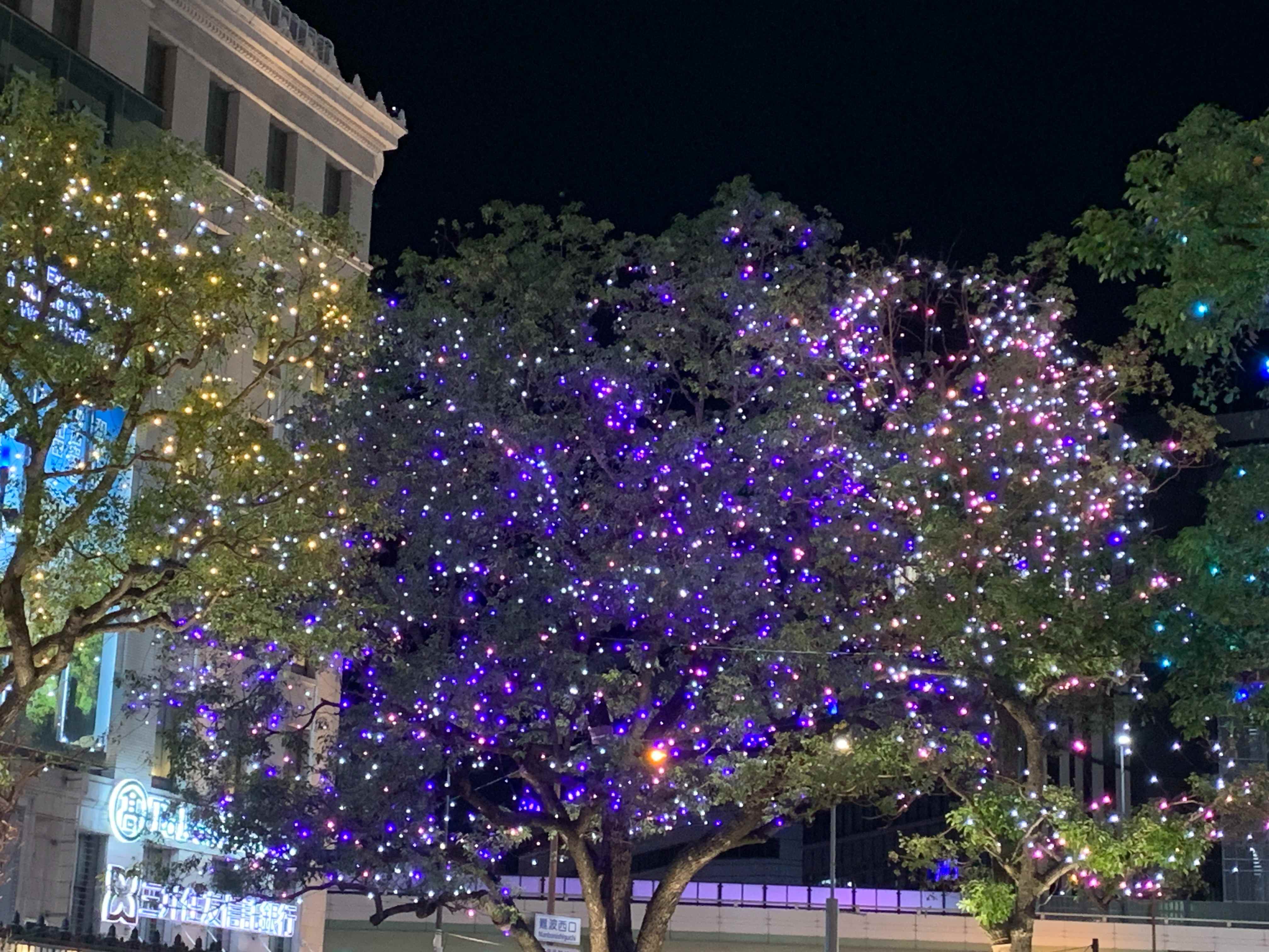IMG_3125 (1).JPEG