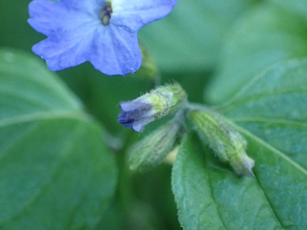 PA101411.JPG