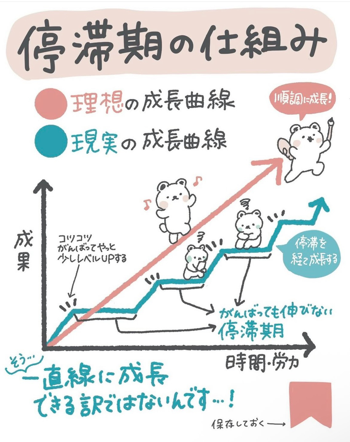 S__72155139.jpg