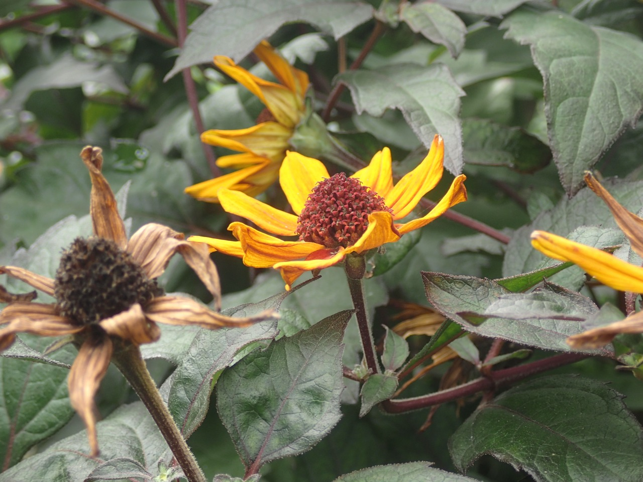 PA120298.JPG