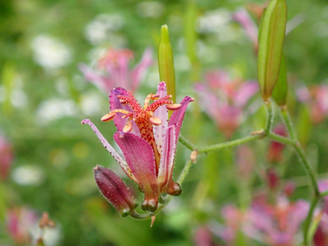 PA261255.JPG