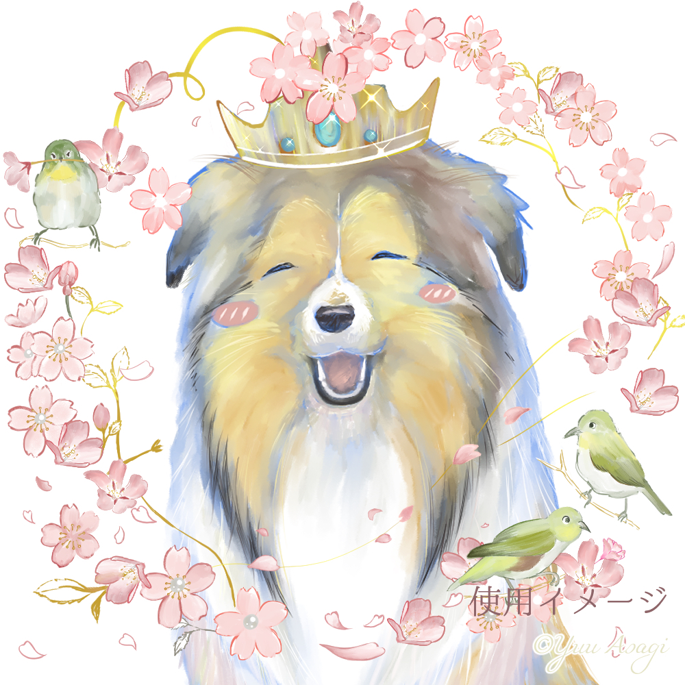 sakuraiconringimage.png