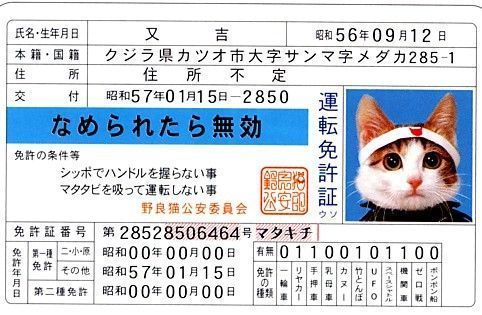 なめ猫.jpg