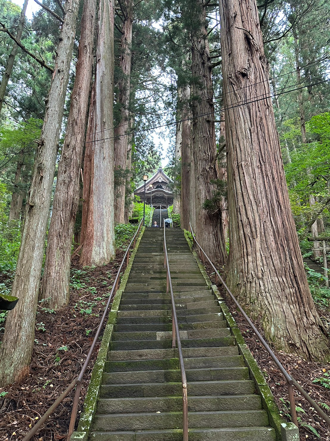 S__74014728.jpg
