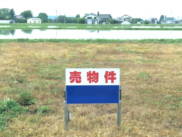33063267_s.jpg