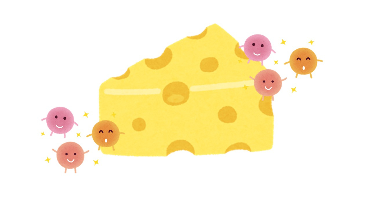 プロピオン酸菌によってつくられたチーズ.jpg