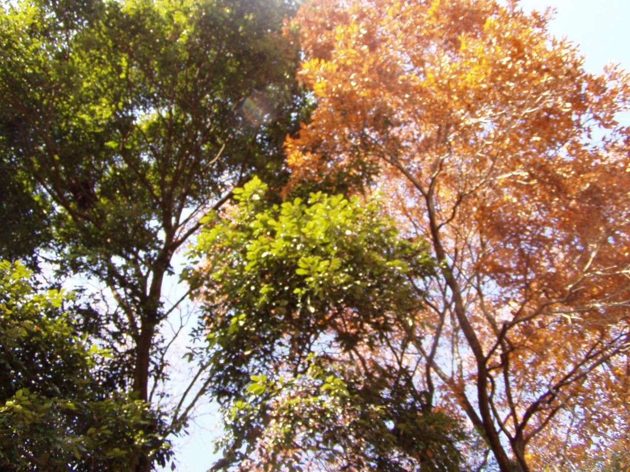 P1010045.JPG