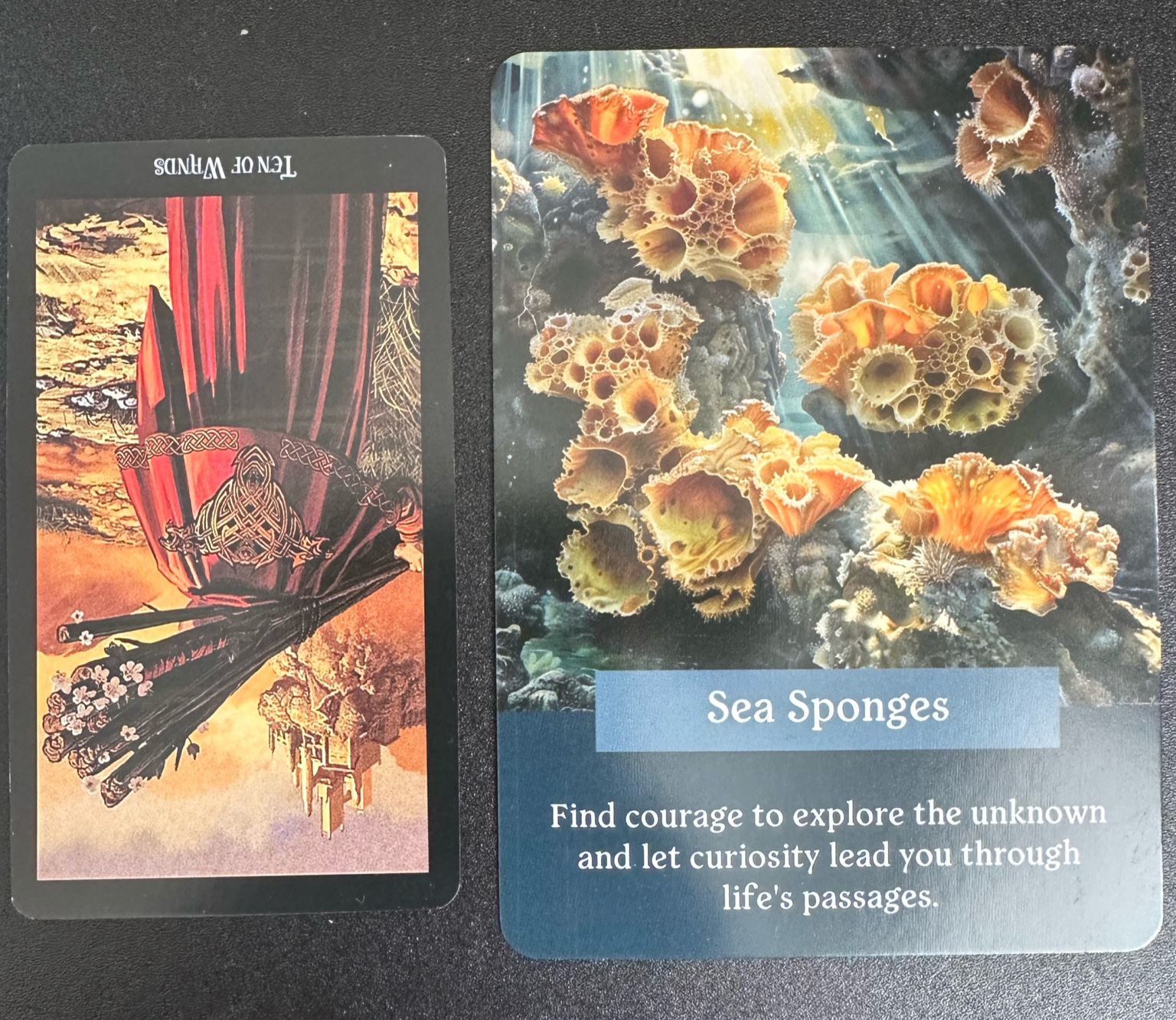 converted_image_4 (1).png