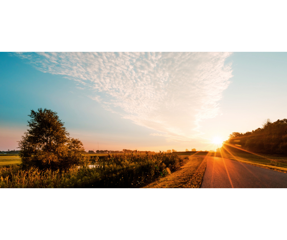 名称未設定のデザイン - 2023-12-05T202711.408.png