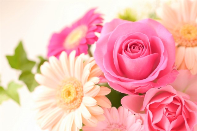 3ef5284aa5fe40d201c75a262c56db06_s (2).jpg