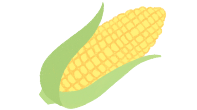 とうもろこし.png