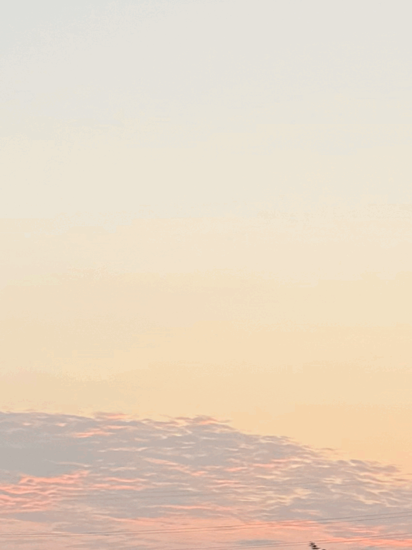 tempImageZHxQmG.gif