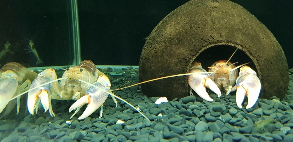 다운로드 (2).jpg