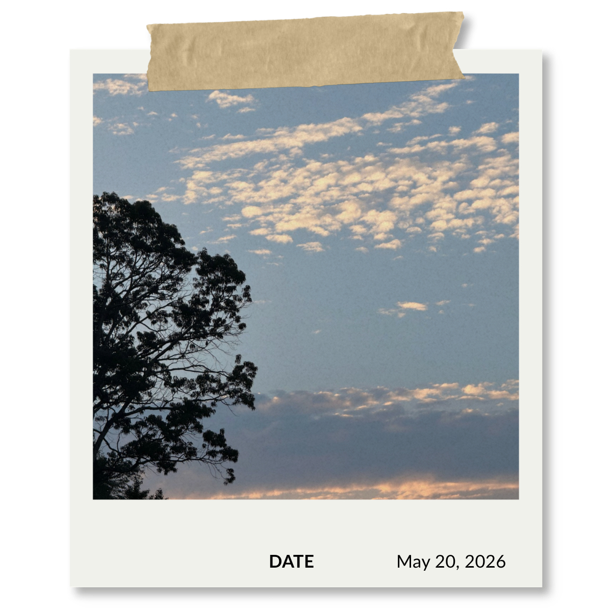 May 20, 2026.png