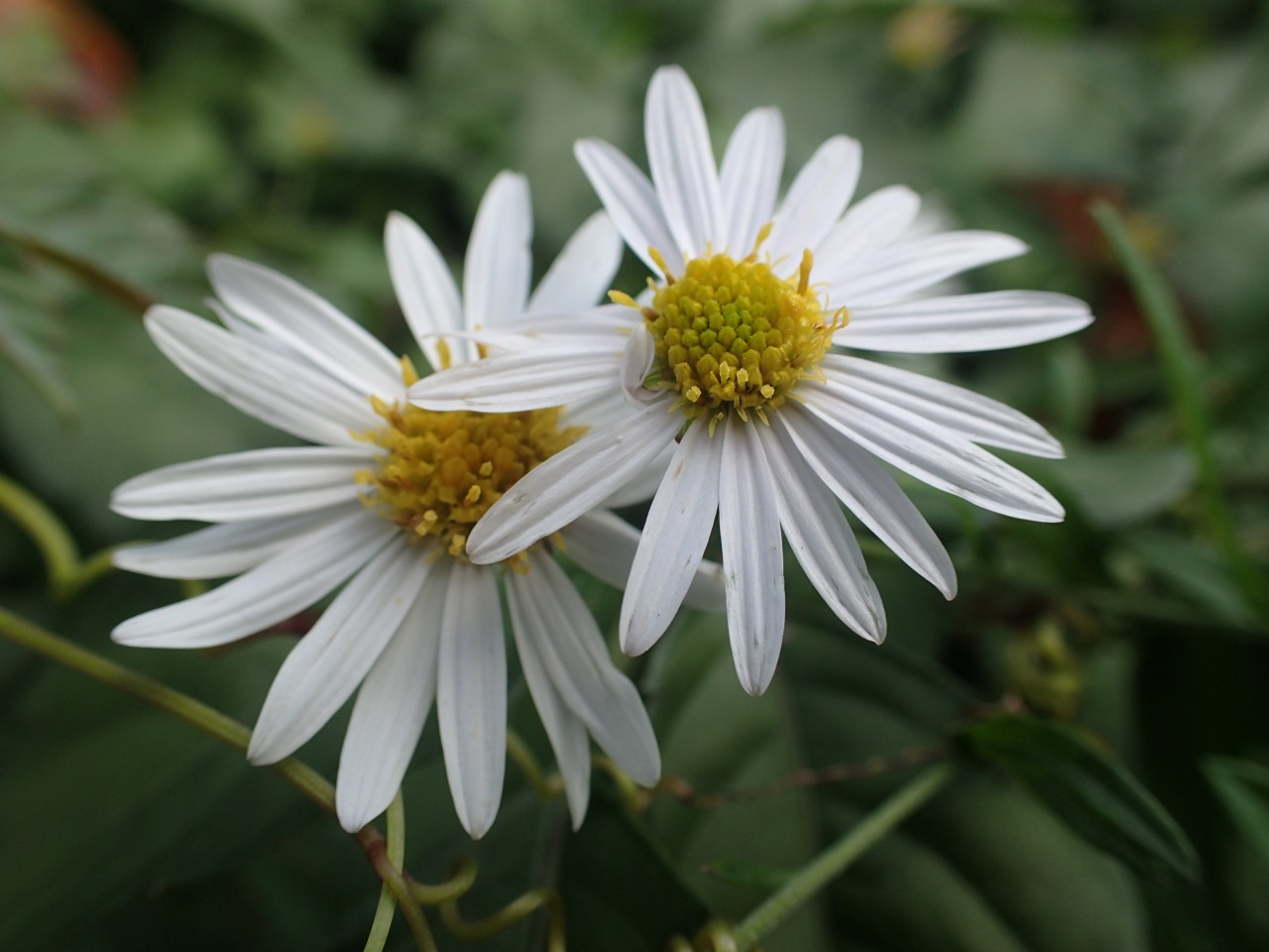 PA210338.JPG