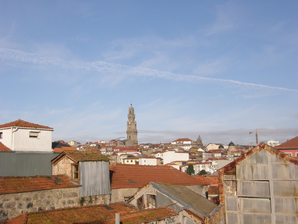 P1240561.JPG