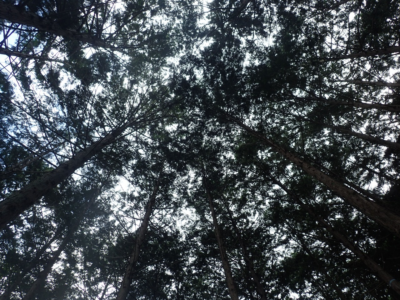 P7220600.JPG