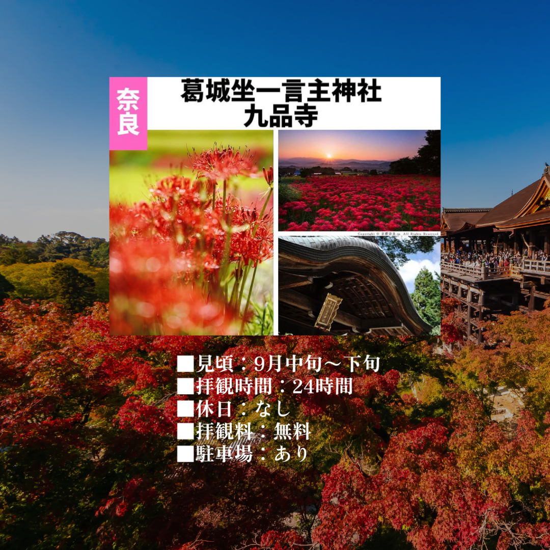 秋の観光スポット記事　奈良.PNG
