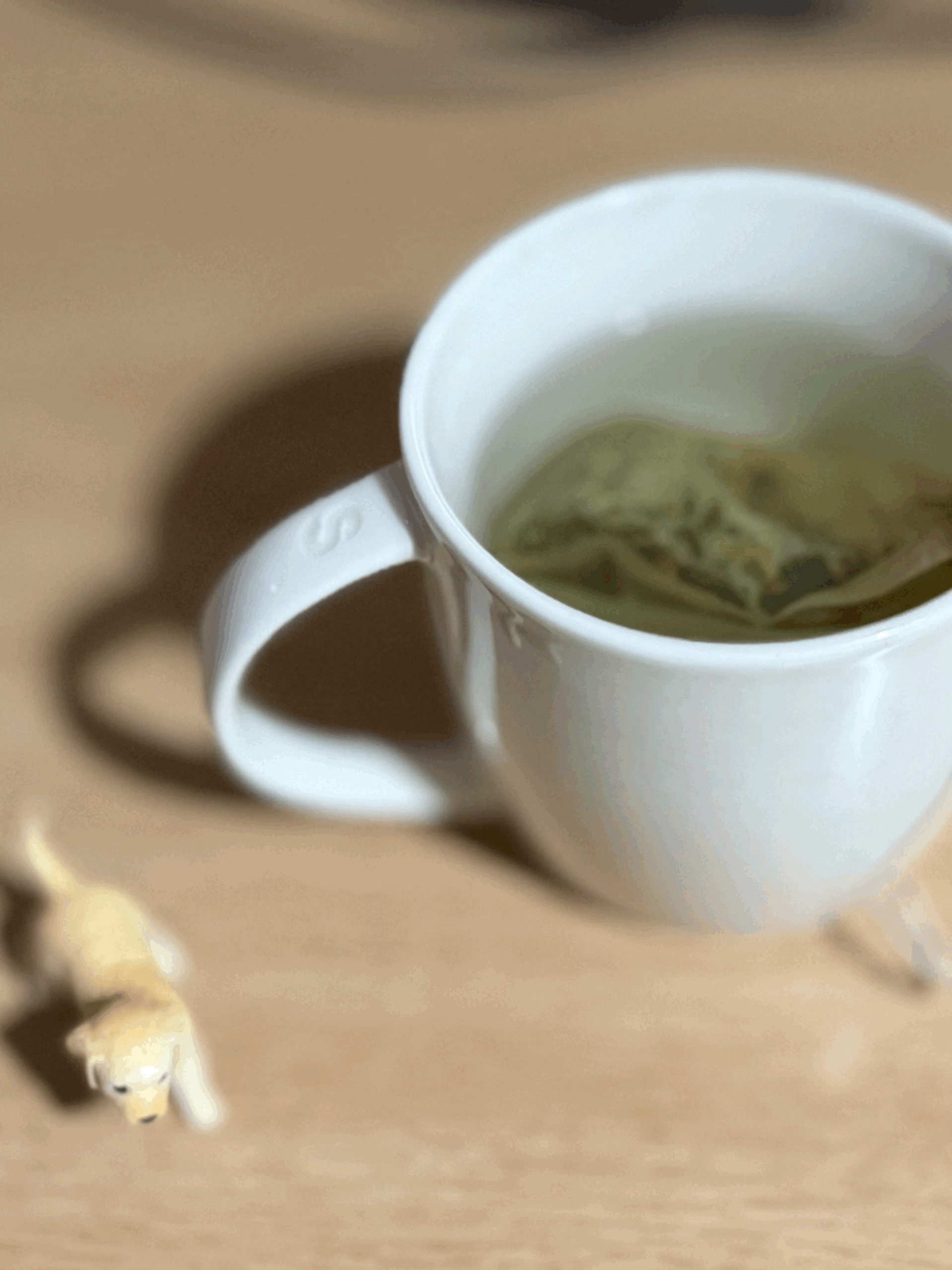 tempImageh9WpHu.gif