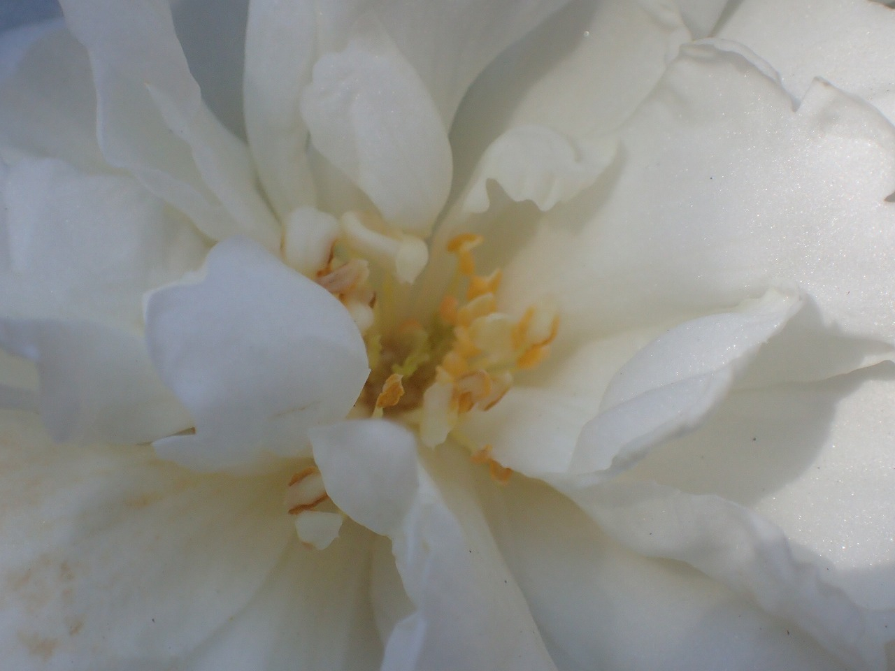 PC220841.jpg