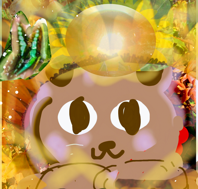 sketch-1663461627506.png