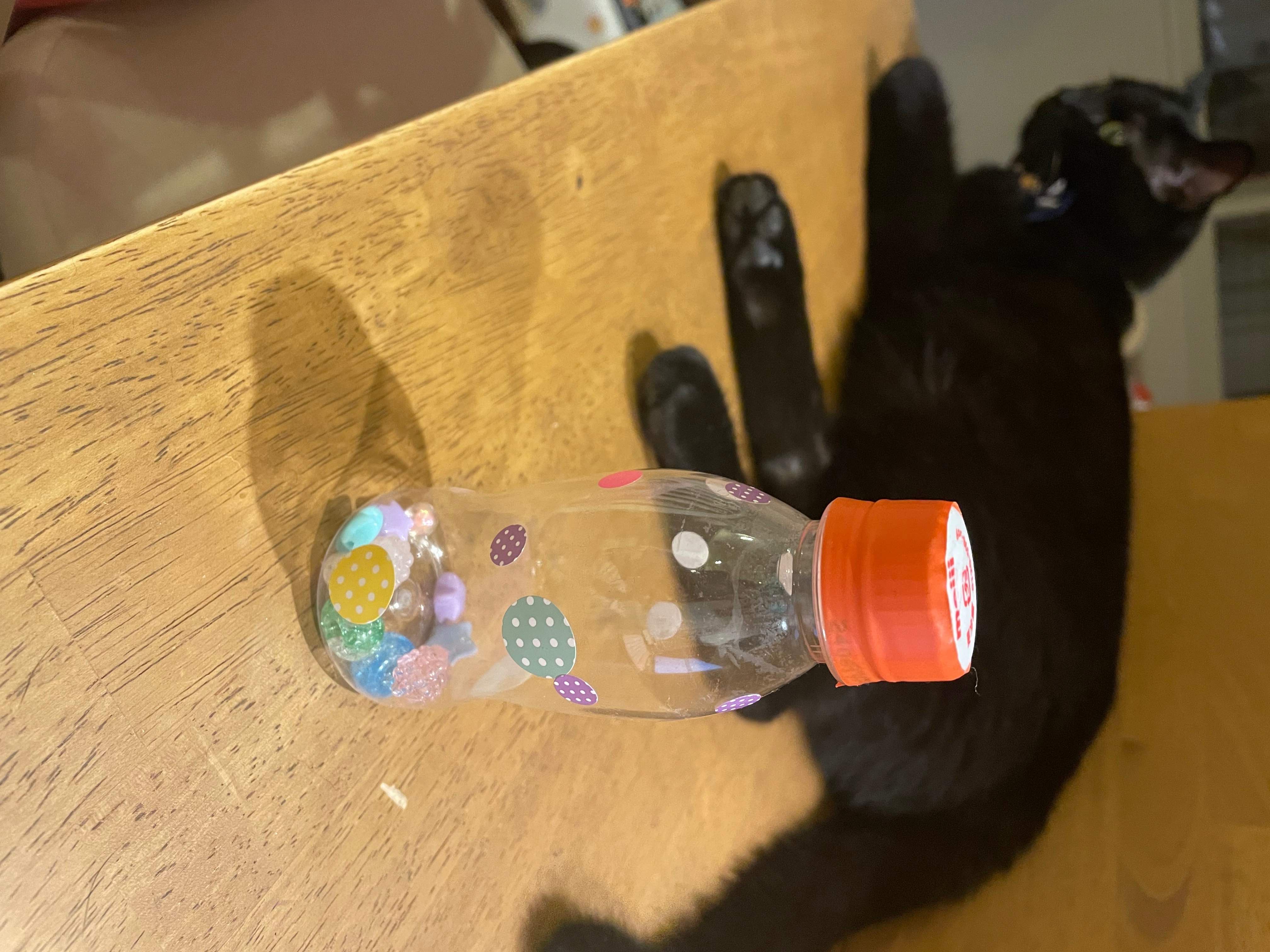 IMG_1562.jpeg