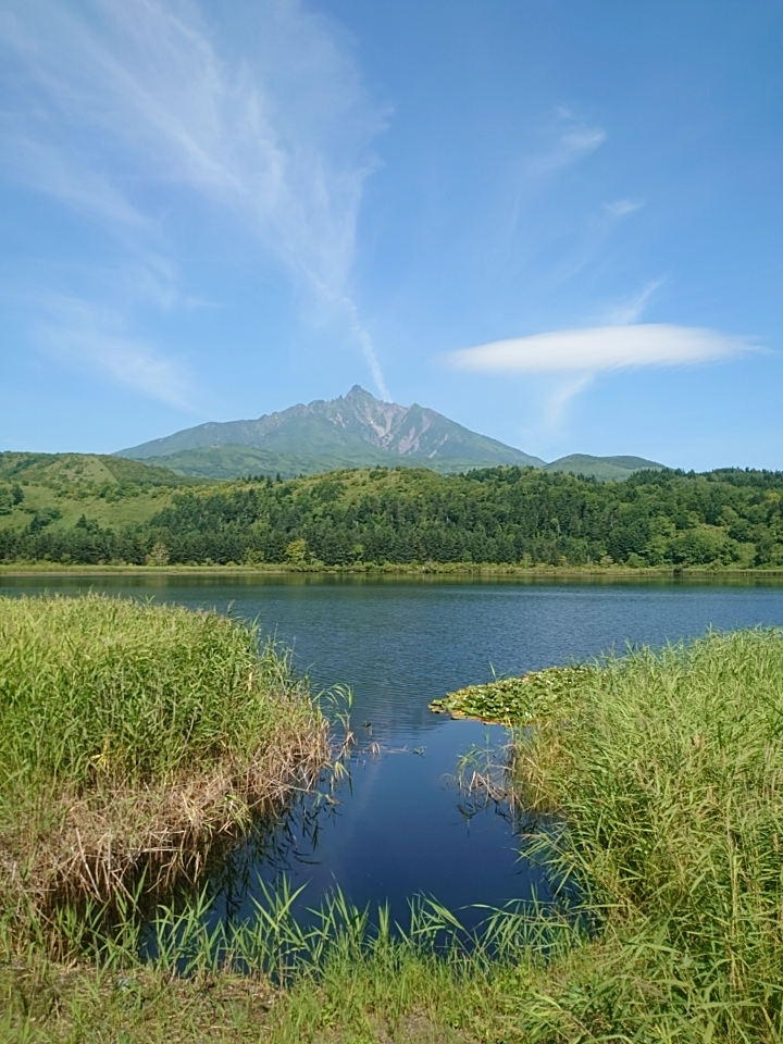 21-08-22-10-17-41-014_photo.jpg