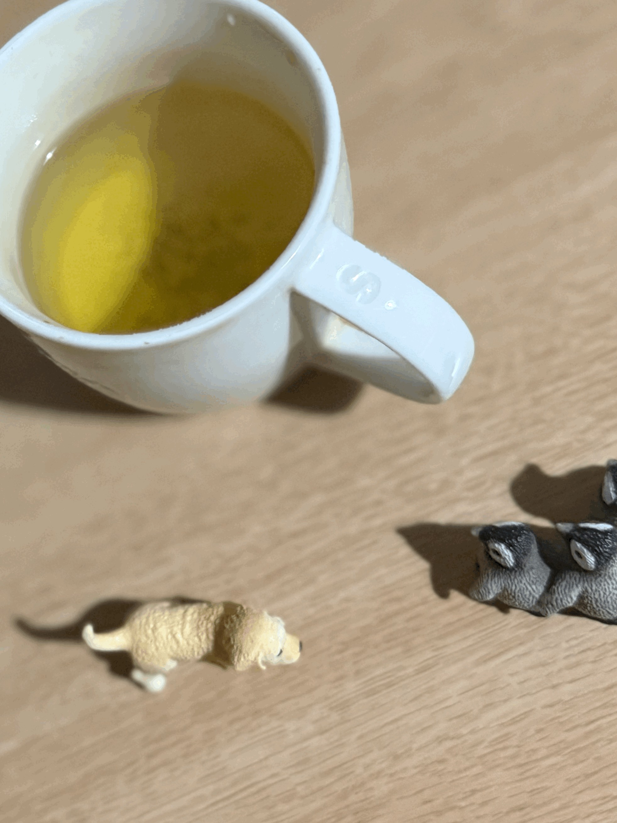 tempImageNdK00I.gif