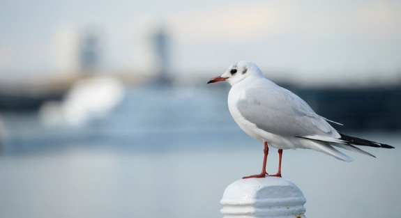 スクリーンショット 2022-11-02 11.41.33.png