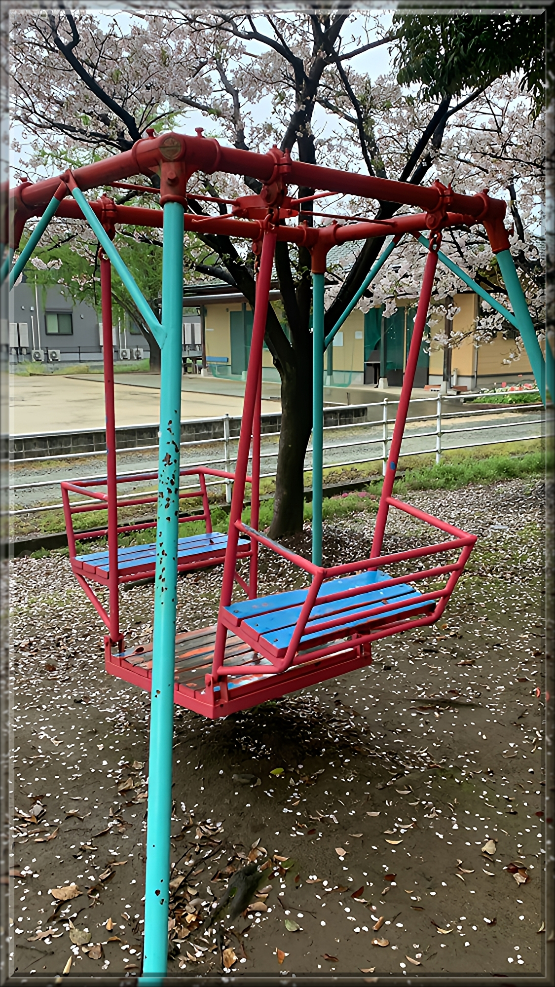 983Iugteplrnbb01728769400_1728769438.jpg