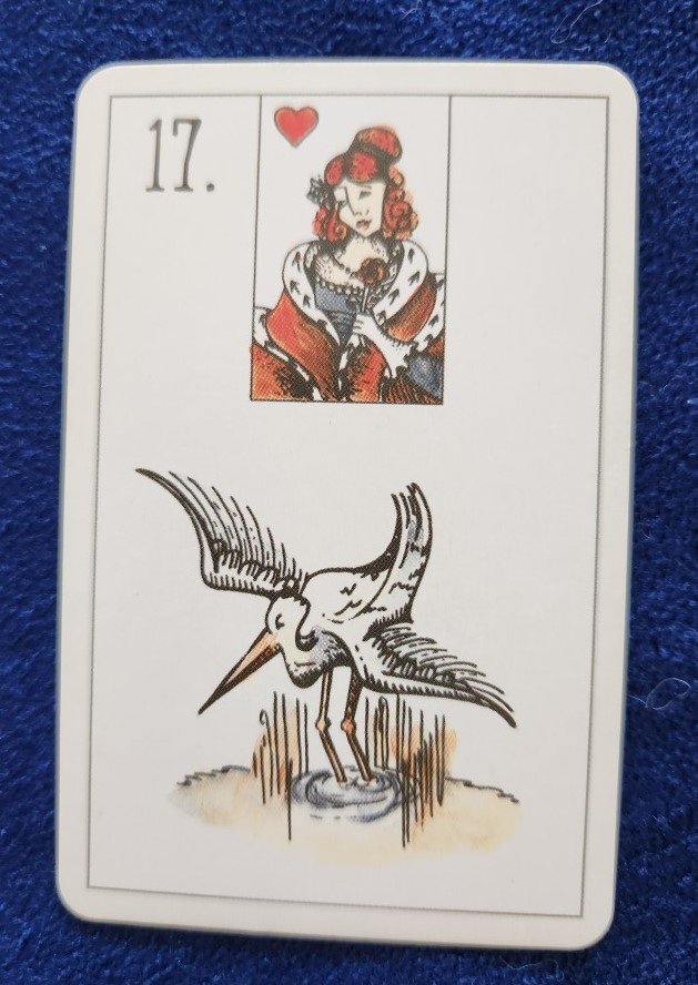 20230821_085753 (002).jpg