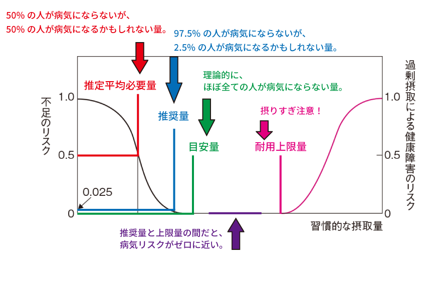食事摂取基準（表）」.png