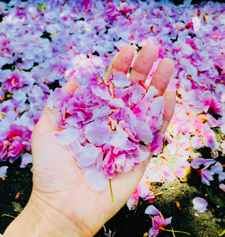 写真 2021-04-18 18 42 15.jpg