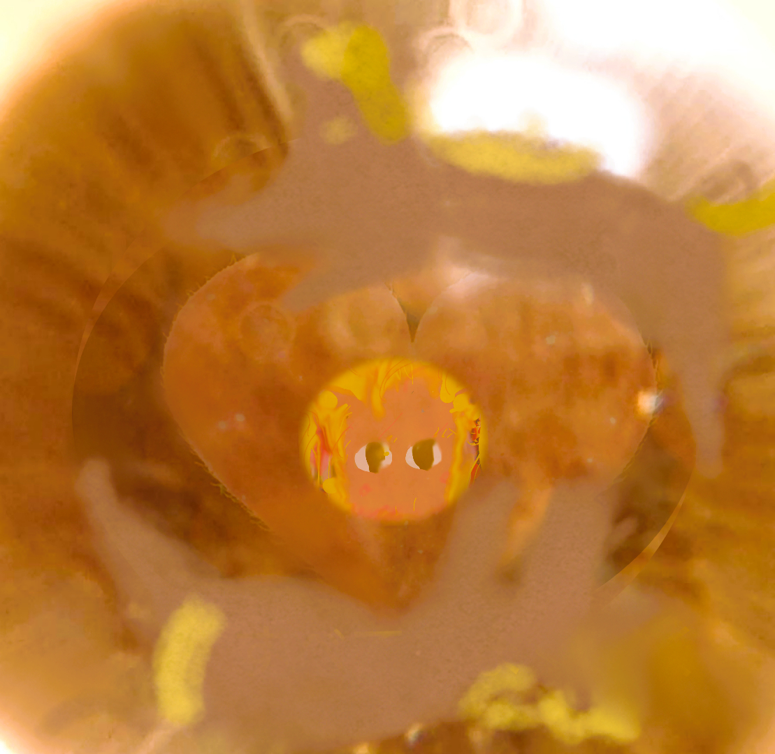 sketch-1767389732350黄金.png