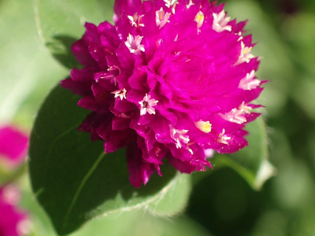 PA121130.JPG