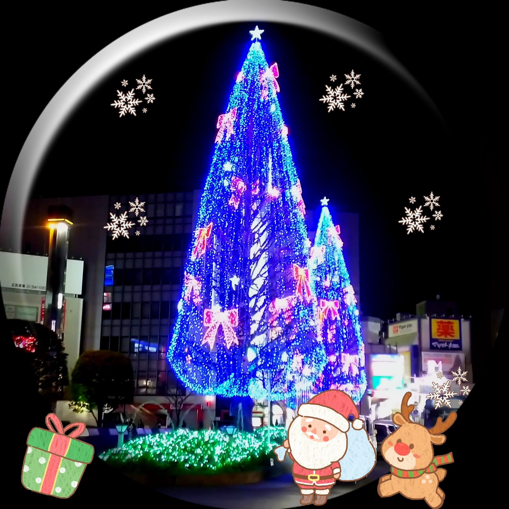 20-12-01-20-15-26-295_deco.jpg